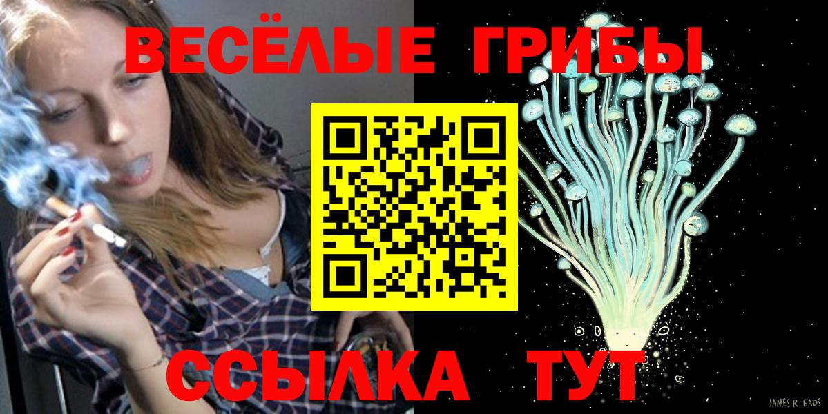 Псилоцибиновые грибы MAGIC MUSHROOMS  Вход с VPN  Псилоцибиновые грибы Cubensis  Серпухов 